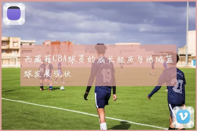 西藏籍CBA球员的成长经历与地域篮球发展现状
