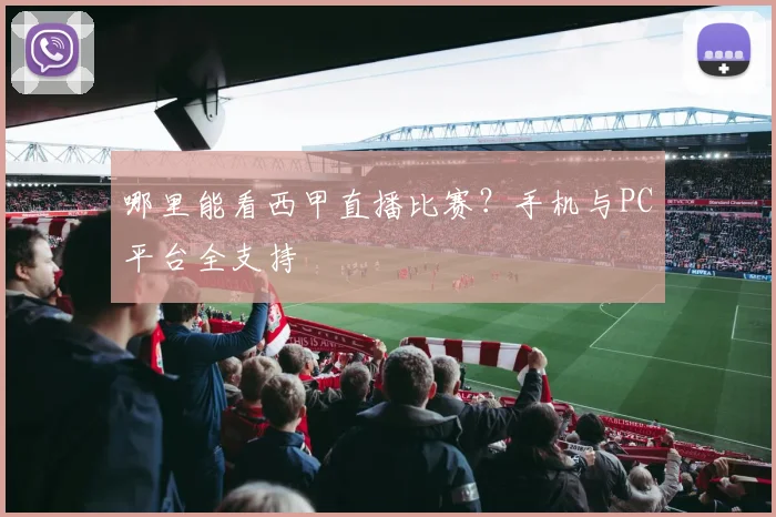 哪里能看西甲直播比赛？手机与PC平台全支持