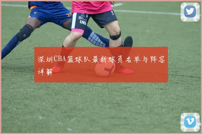 深圳CBA篮球队最新球员名单与阵容详解