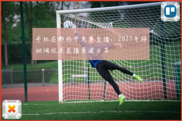 手机在哪西甲免费直播，2025年移动端优质直播渠道分享